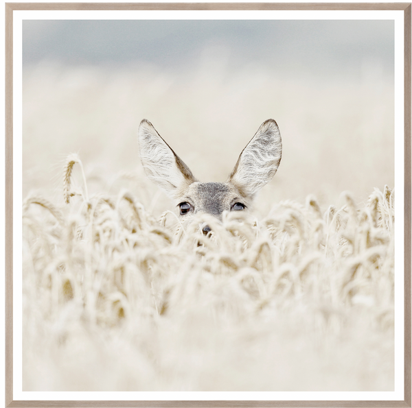 Peek-A-Boo Deer Art